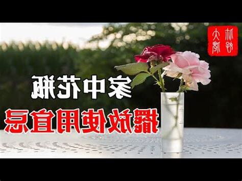 鮮花 風水